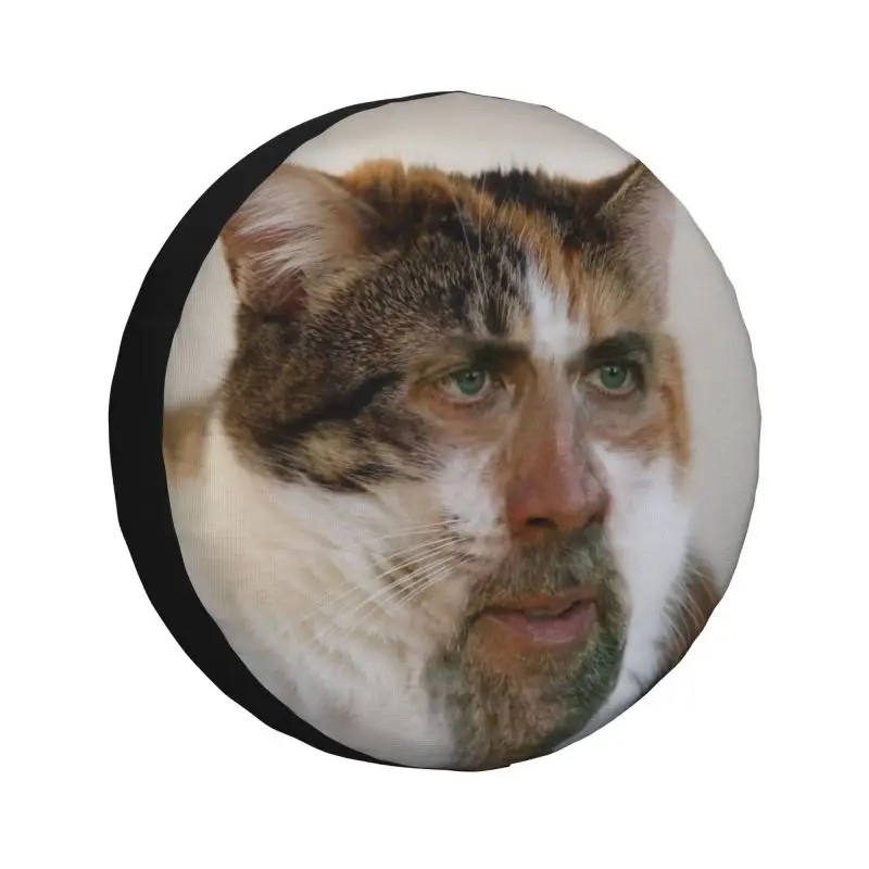  Nicholas Cat Meme   Ÿ̾ Ŀ, ̾   SUV ƮϷ  ׼, 14 15 16 17